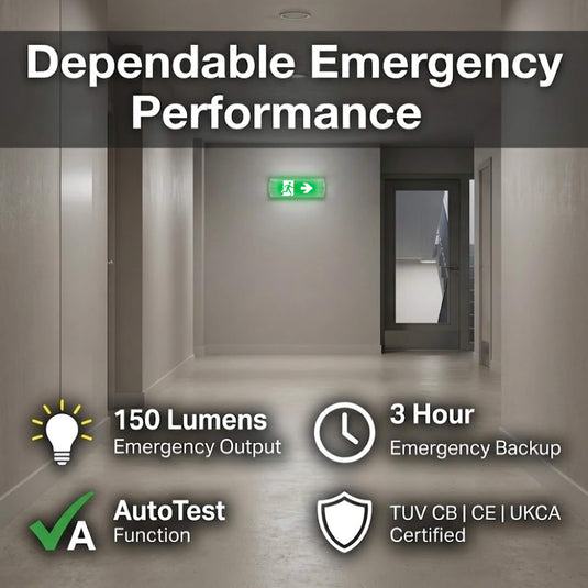 Infographic on emergency performance