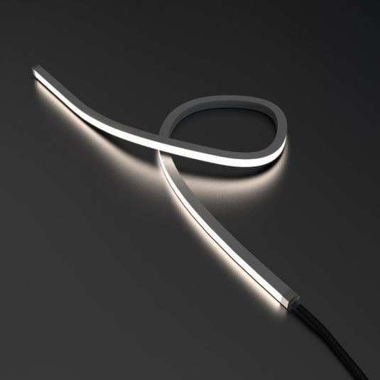 Loop of neon flex facing outward