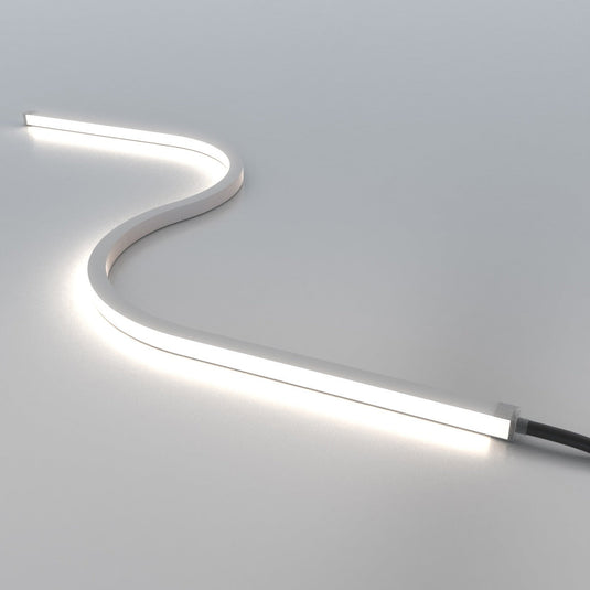 Natural white neon flex in an S curve, from the front