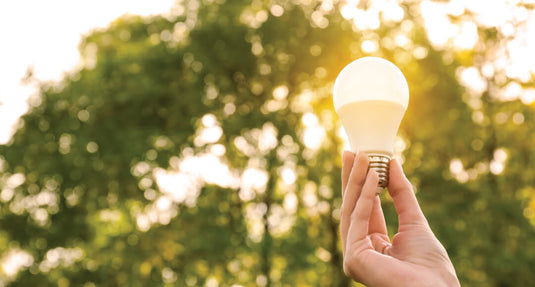 A person holding a lightbulb up to the sun to demonstrate the difference between CRI which stands for colour rendering index.