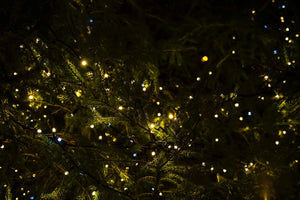 How To Put Christmas Lights On Your Tree