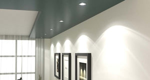 LED downlights with natural white light