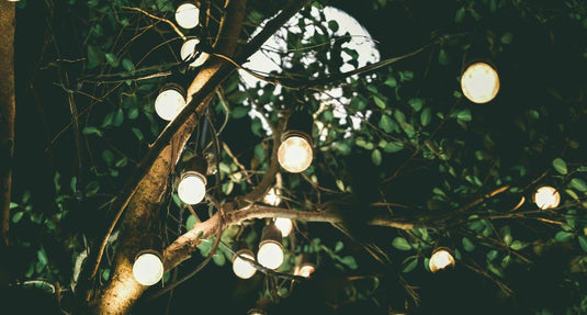 Light bulbs on a tree