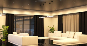 Living room with black ceiling