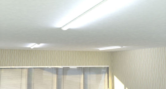 Office with cool white LED battens