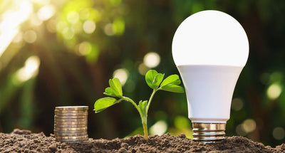From Watts to Wealth: How LED Lighting Can Contribute to Long-Term Savings