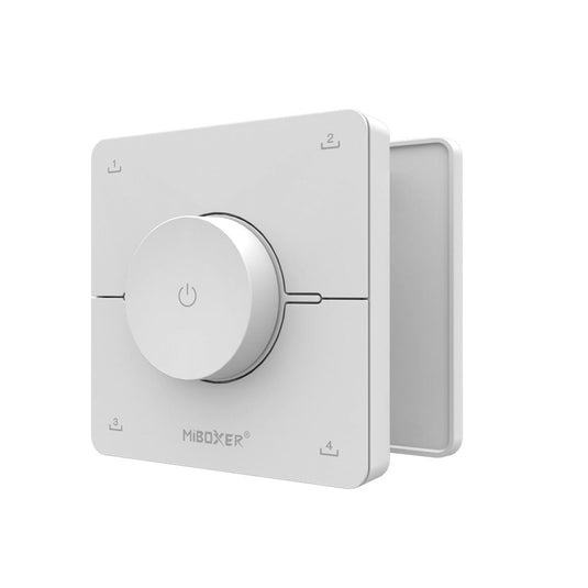 Wall remote and magnetic plate, upright view