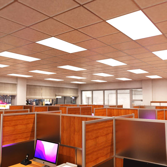 Natural white LED panels over office cubicles
