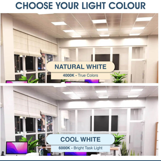 Infographic on choosing the light colour