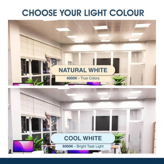 Infographic of the cool and natural white options