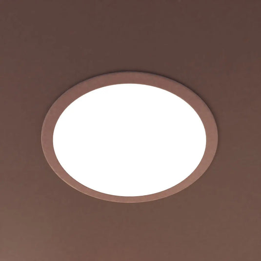 300mm, 24w Round LED Panel Light natural white light