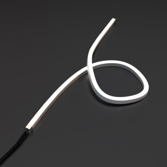 Full view of a loop of neon flex
