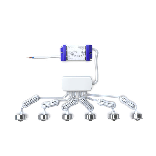 Six LED plinth lights from above