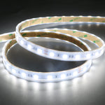 Cool White, 12v LED Strip Lights (Per Metre)